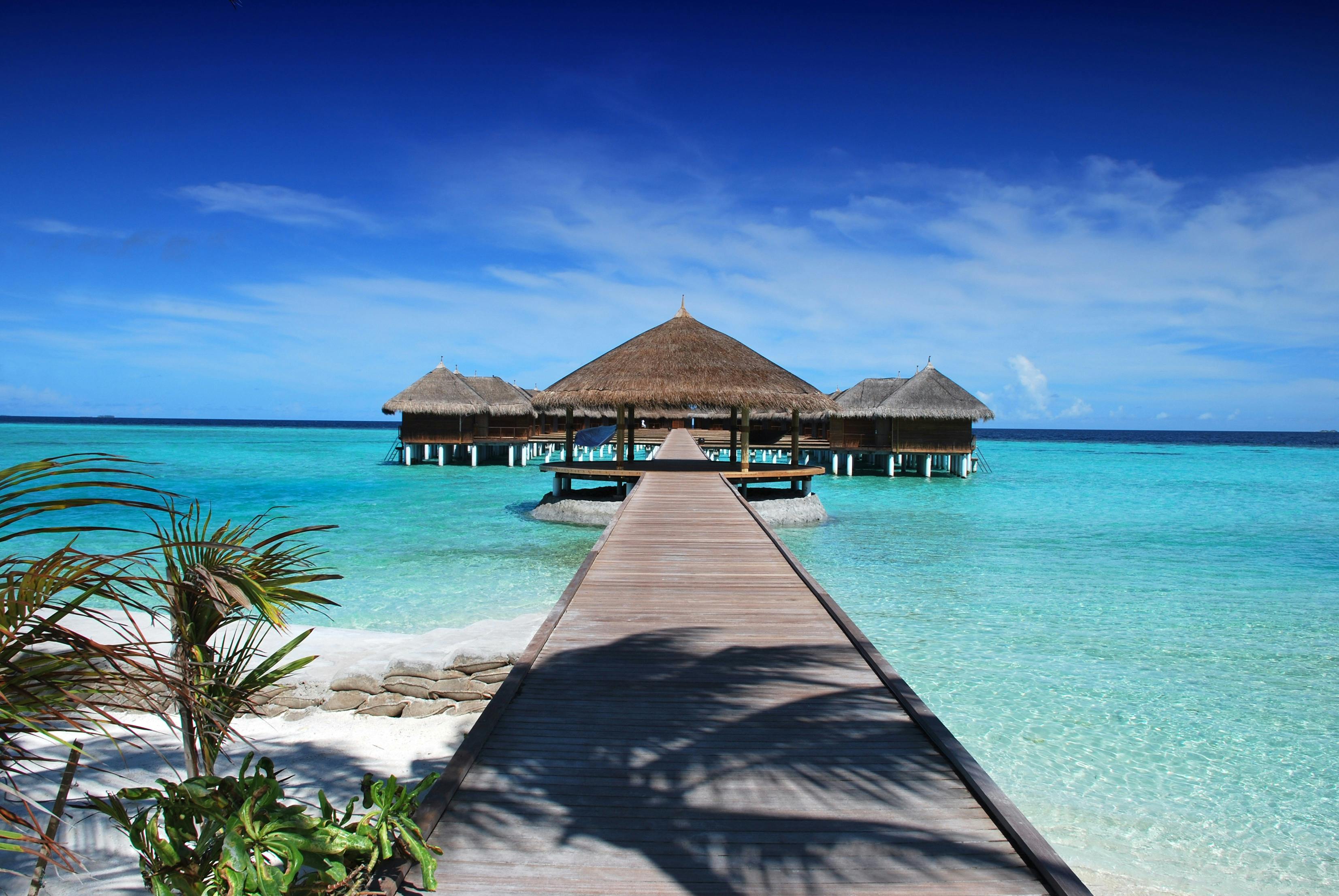 Visit a resort