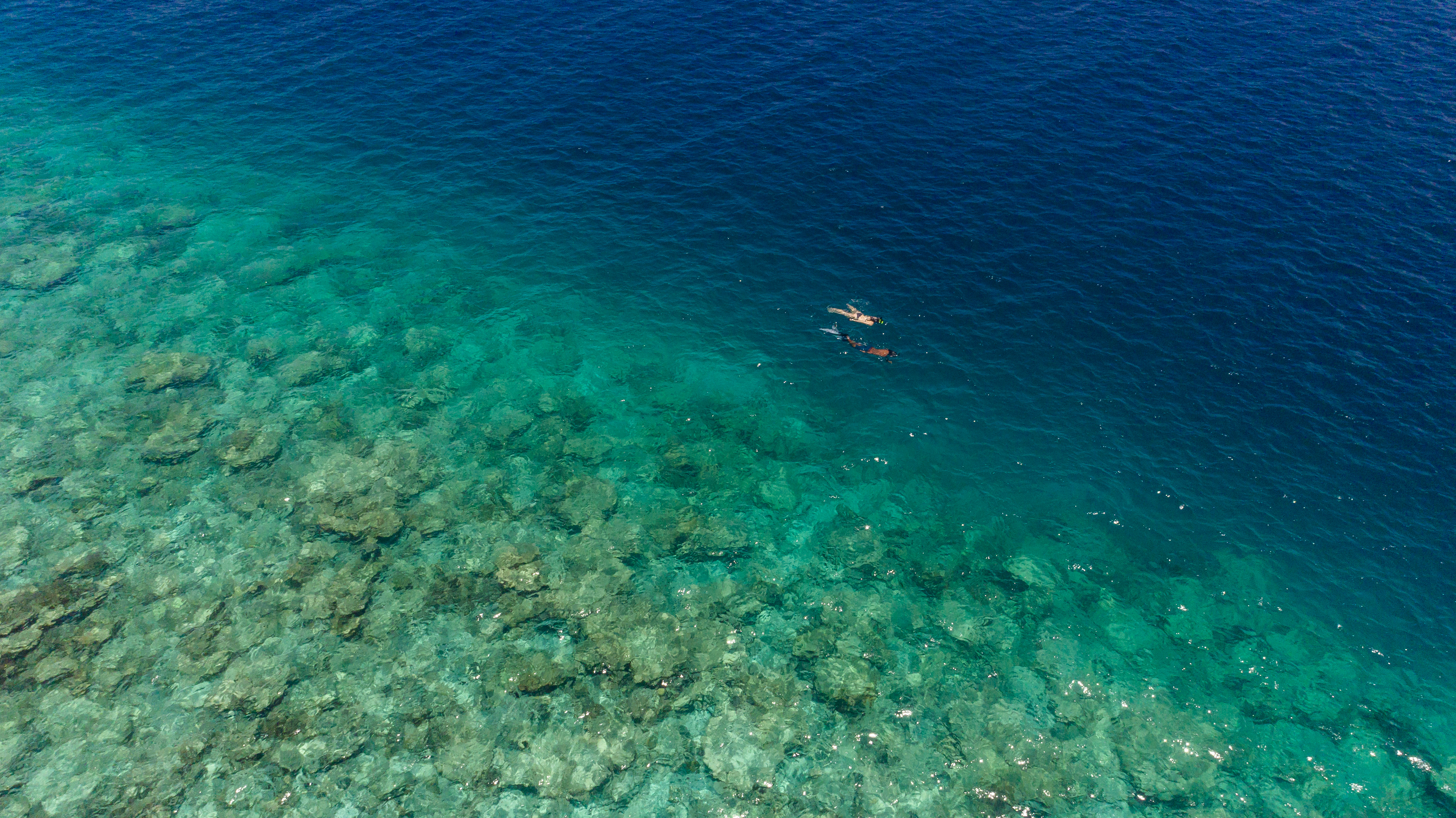 Housereef Snorkeling