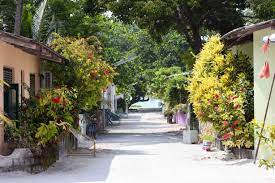 Island Hopping - Image 2