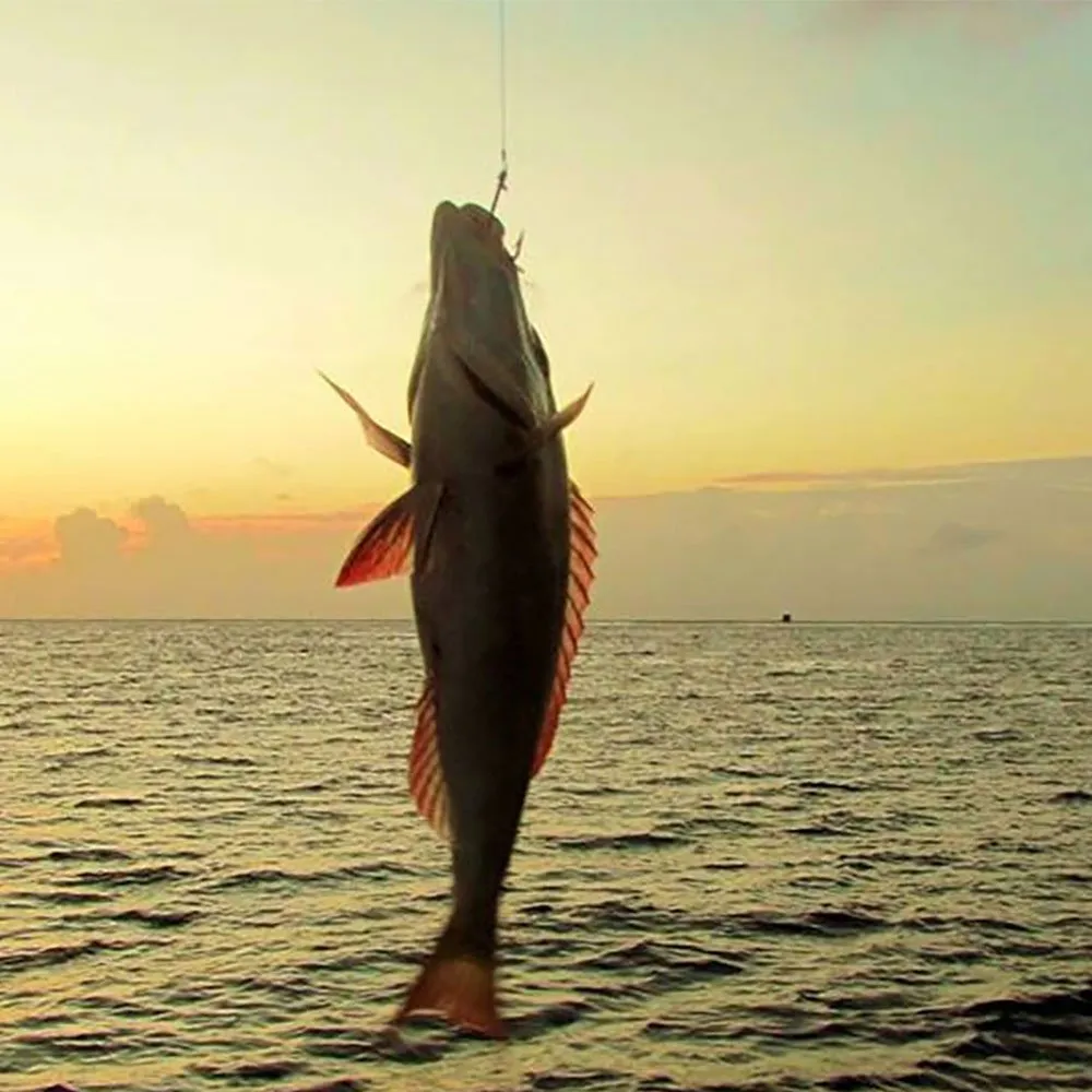 Sunset Fishing - Image 3