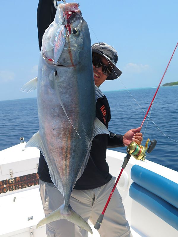 Jigging / Popping - Image 1