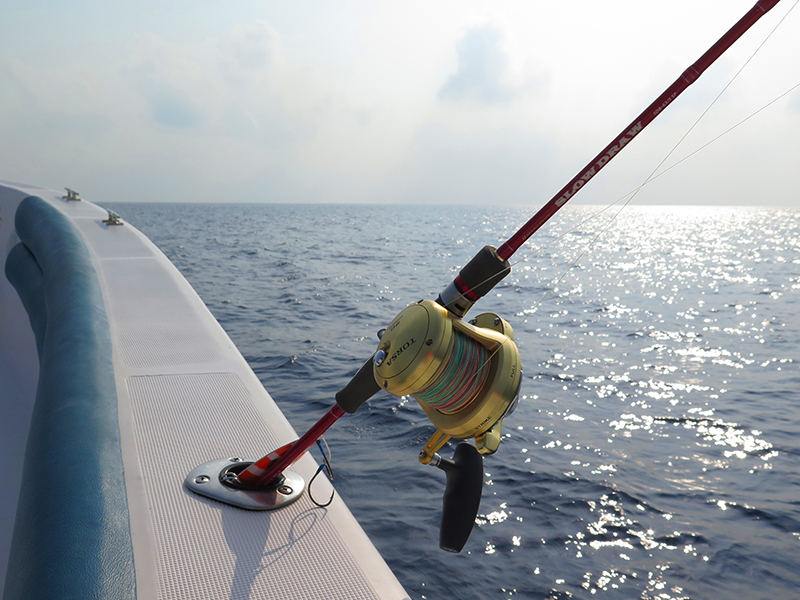 Jigging / Popping - Image 4