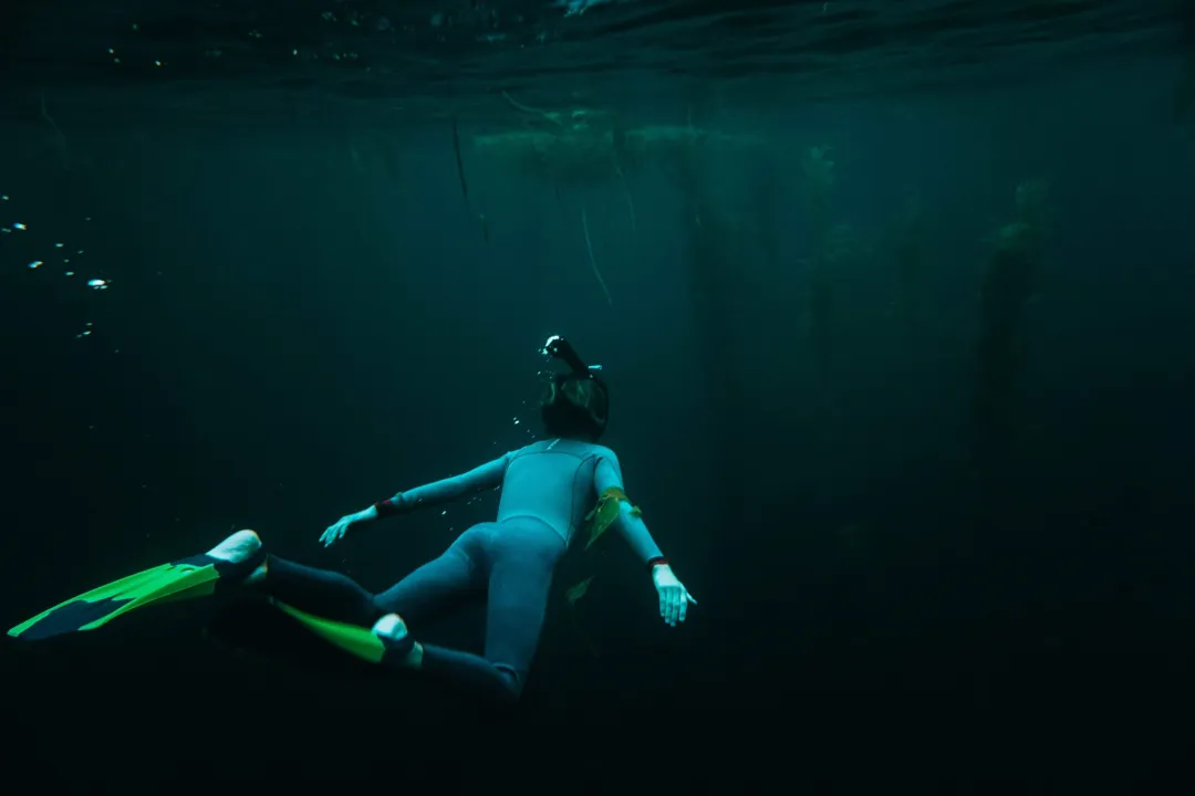 Night Snorkeling - Image 4