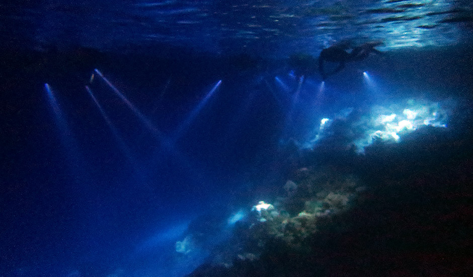 Night Snorkeling - Image 3