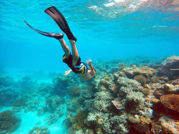 3 In 1 combo: Snorkel + Manta + Sandbank - Image 2