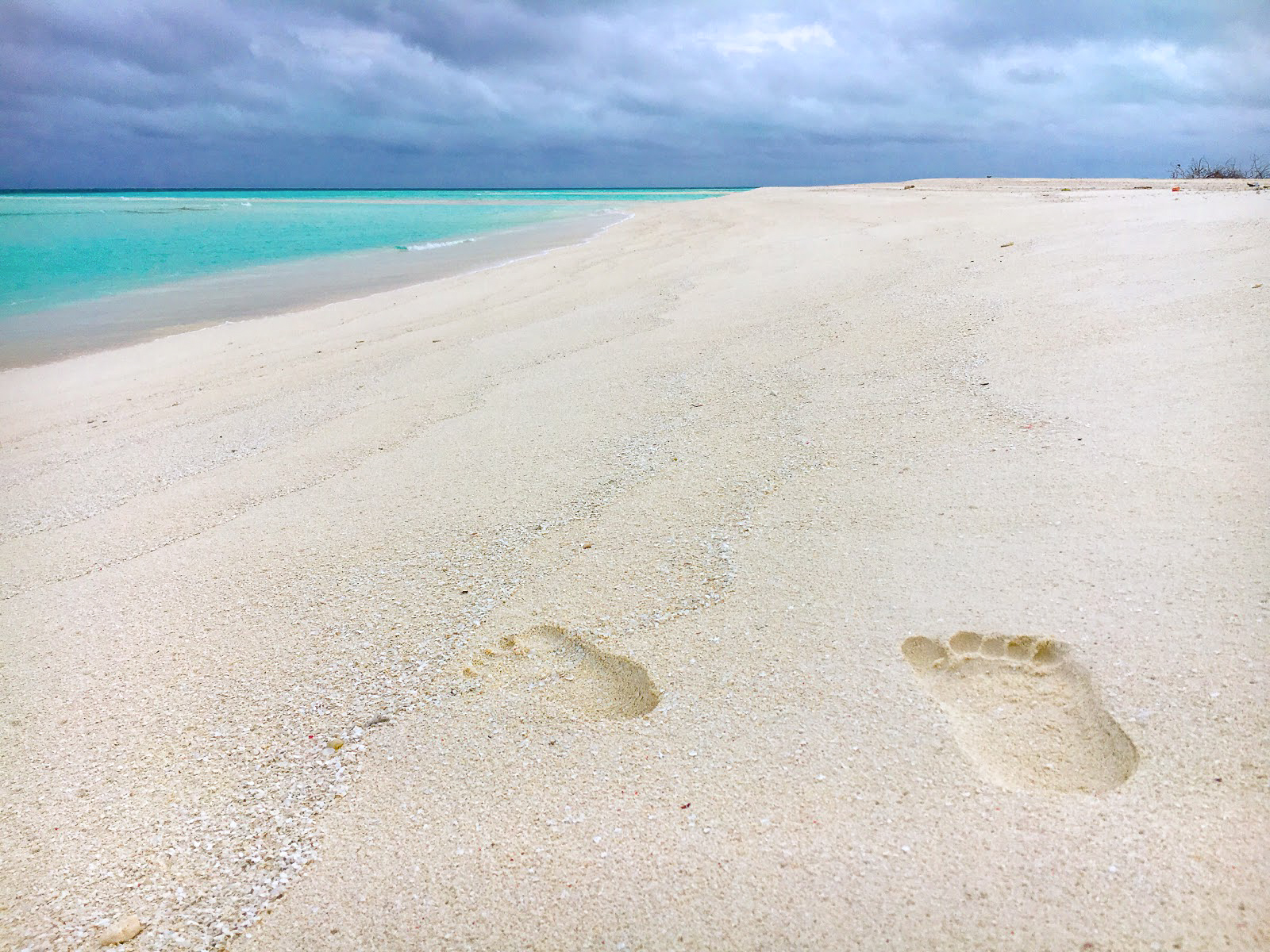 3 In 1 combo: Snorkel + Manta + Sandbank - Image 13