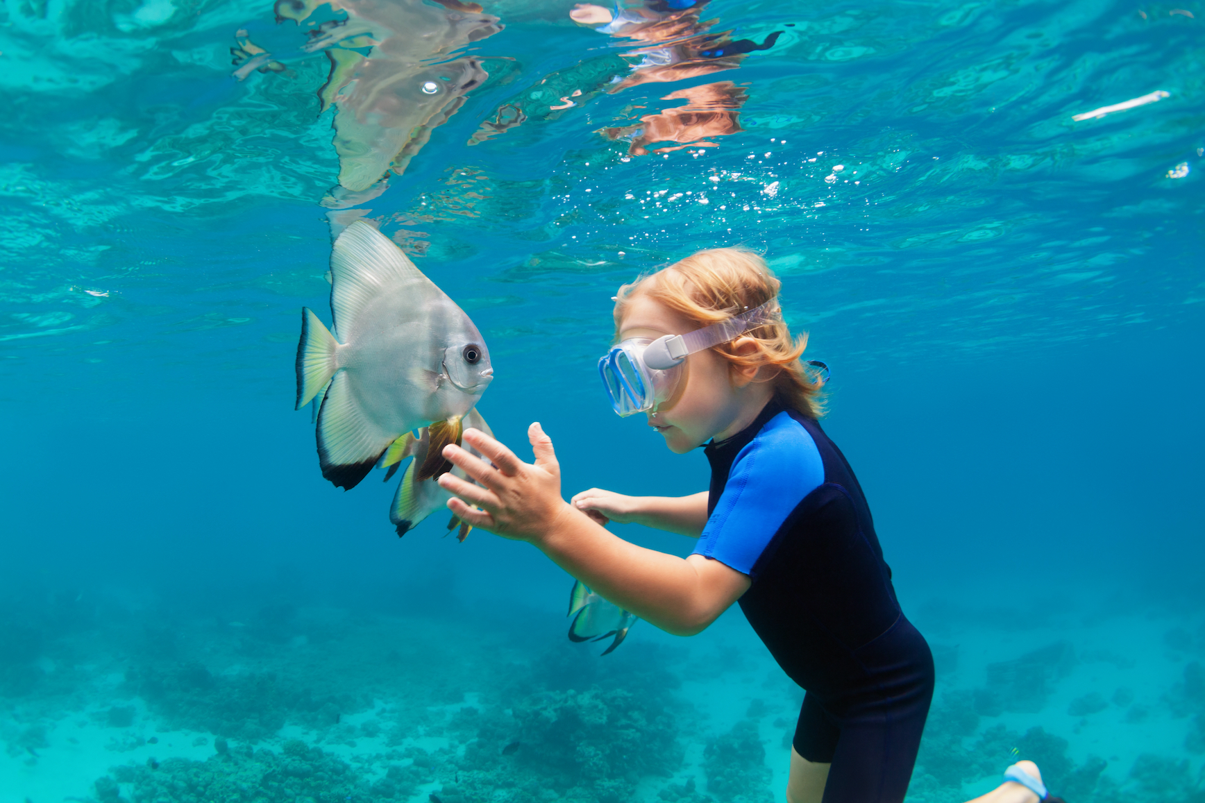 3 In 1 combo: Snorkel + Manta + Sandbank - Image 4