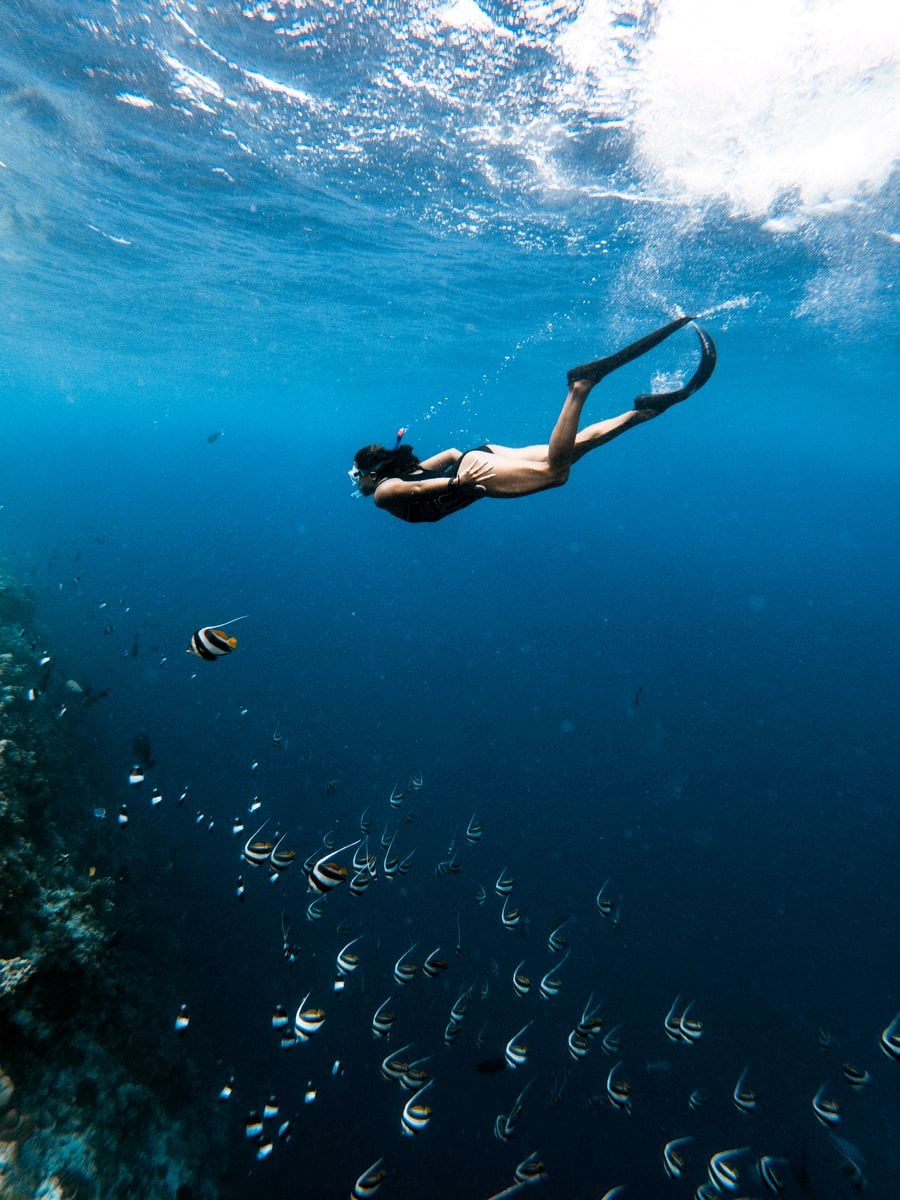 3 In 1 combo: Snorkel + Manta + Sandbank