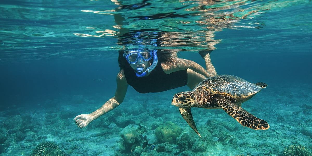 3 In 1 combo: Snorkeling + Sandbank + Local island - Image 5