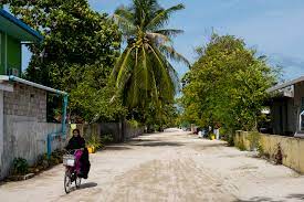 3 In 1 combo: Snorkeling + Sandbank + Local island - Image 14